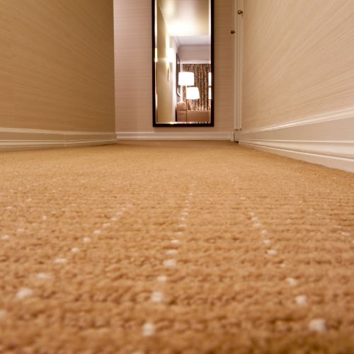 Carpet Installation services