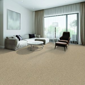 carpet flooring